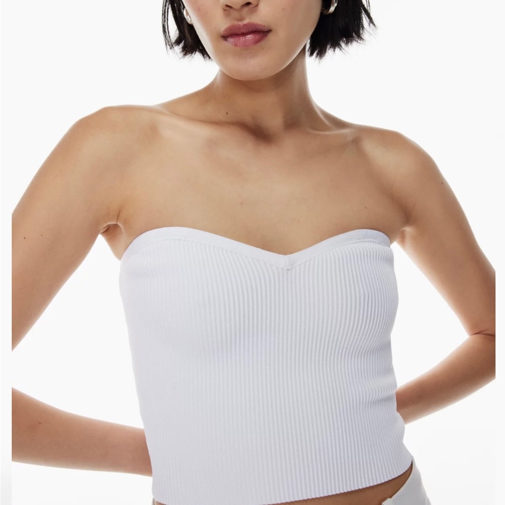 Aritzia Babaton Tube Top